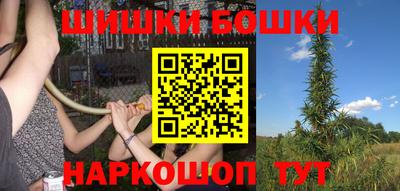 индика Мариинск