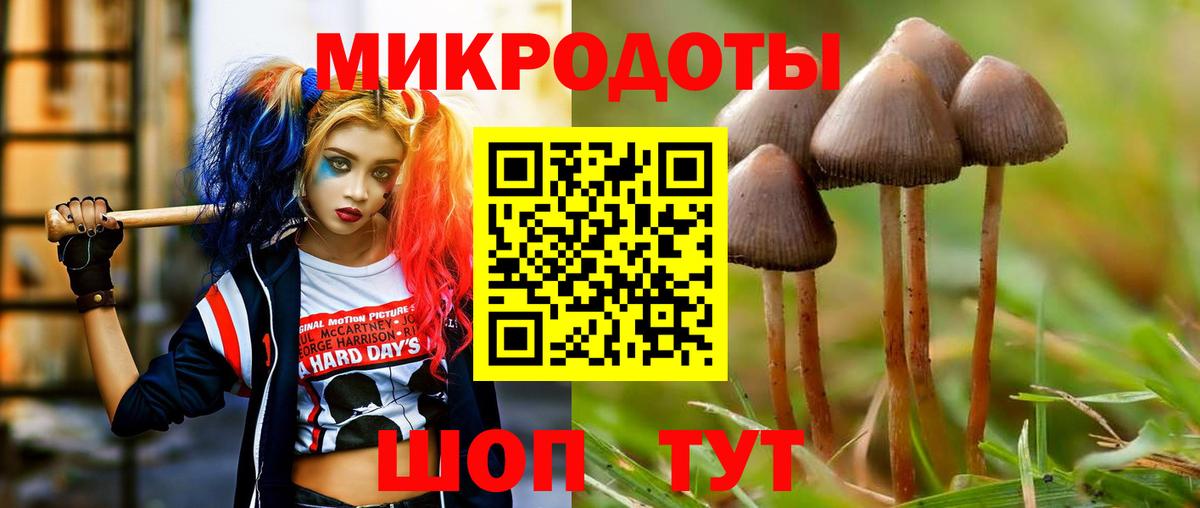 Псилоцибиновые грибы Psilocybe  Вход с VPN  Топки 